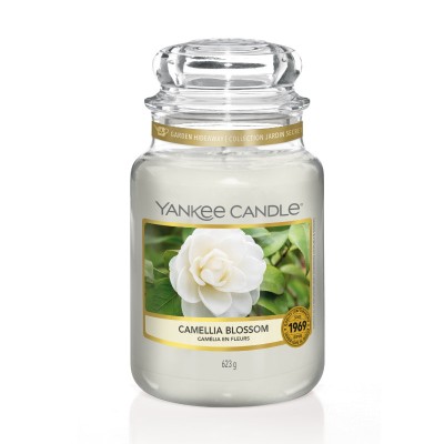 CAMELLIA BLOSSOM